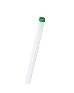 4' 32W 4100K Philips T8 Linear Flourescent Lamp, Cool White