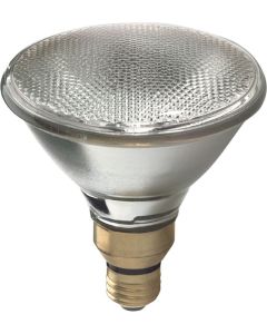 90W 130V 2900K PAR38 Halogen Flood Lamp