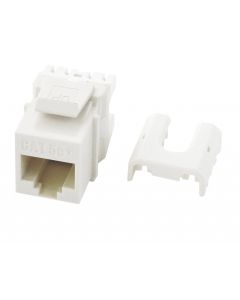 Cat 5e Quick Connect RJ45 Keystone Insert, White