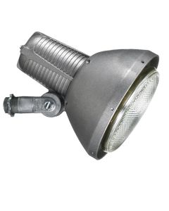 Keene Fixture Bell Style 75-300W PAR38 Lamp, Aluminum
