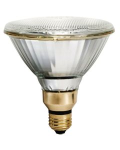 100W 120V Philips MasterColor® PAR38 Ceramic Metal Halide Lamp, Clear