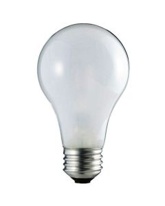 40W 120V A19 Incandescent Light Bulb, Soft White