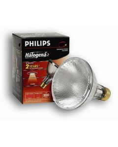 50W 120V Halogen PA30 Lamp