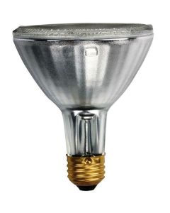 50W 120V Halogen PAR30L Lamp, Clear