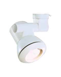 Philips Lightolier Lytespan® Par-Tech PAR30 Bezel Shade, Matte White