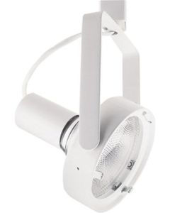 250W Lytespan® PAR38 Ring Front Relamping, White