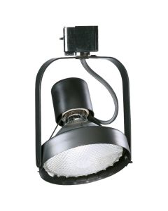250W 120V Lytespan® PAR38 Ring Front Relamping, Black