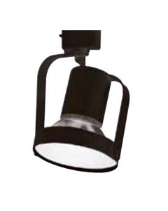 Lytespan® Line Voltage PAR38 Ring, Black