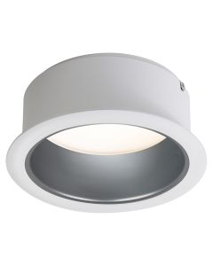 6" LyteCaster Clear Diffuse Downlight LED Cone with White Flange