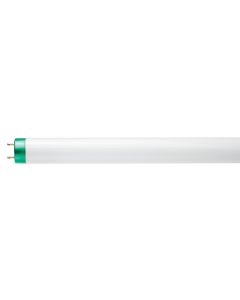 48" 32W 4100K Philips T8 ALTO Standard Fluorescent Lamp, White