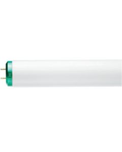 48" 40W Philips ALTO® T12 High CRI Lamp, White