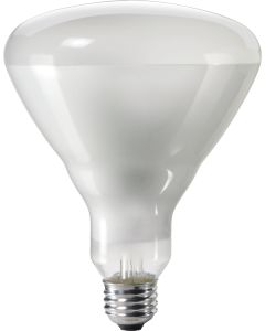 65W 130V Philips Duramax Reflector Flood Incandescent Light Bulb, Frosted