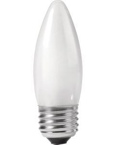 60W 120V Philips DuraMax® Long Life Decorative Blunt Tip Incandescent Lamp, White
