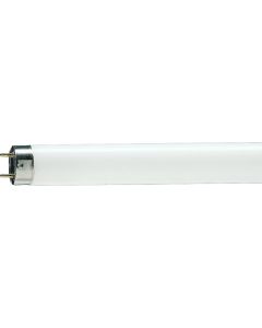 58" 35W Philips ALTO® T5 Lamp Technology Fluorescent Lamp, White