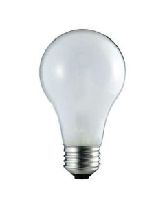60W Philips A19 Incandescent Lamp, White