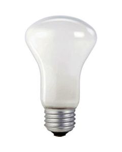40W 120V Philips Director Superlux, White