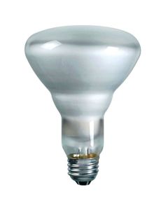65W 120V Philips 620LM Incandescent Reflector Flood Lamp