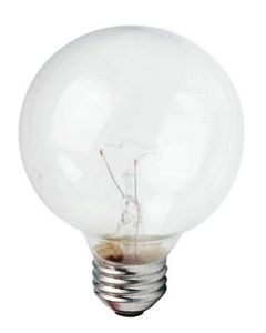 40W 120V G25 Philips DuraMax® Deco Globe, Clear