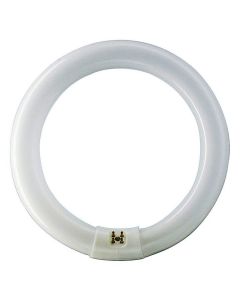 22W Philips T9 Circline Fluorescent Lamp, Soft White