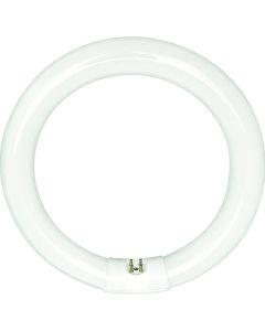32W Philips T9 Circline Fluorescent Lamp, Daylight