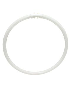 40W/835 Philips TL5C Circline Fluorescent Tube Lamp, White